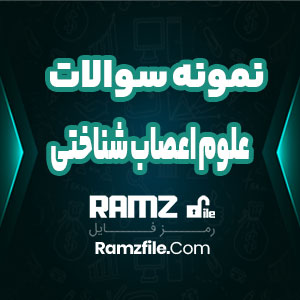 جزوه نمونه سوالات علوم اعصاب شناختی 98 صفحه PDF پی دی اف