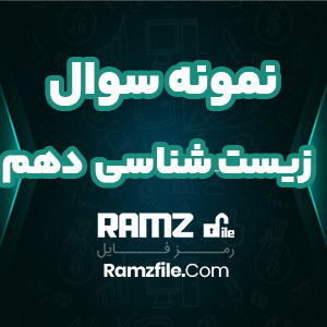 دانلود نمونه سوال زیست شناسی دهم تجربی 4 صفحه PDF پی دی اف